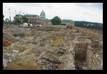 Budapesta -18-06-2011 - Bogdan Balaban